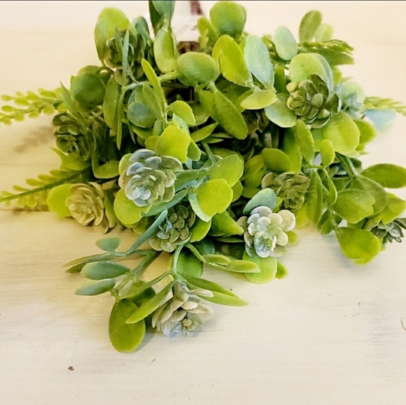 🆕️🌻5/$25🌻 Succulent Bush Pick
